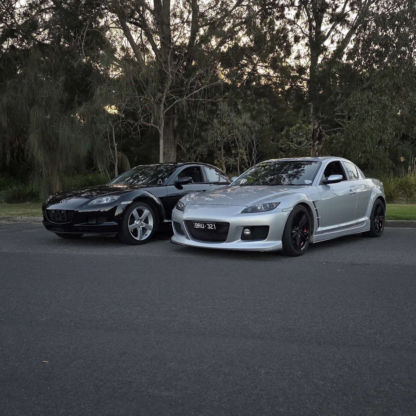 Rods and Rotors meet photo